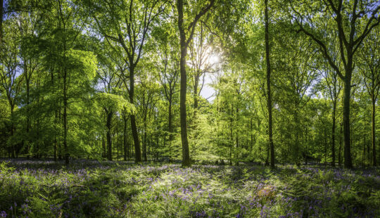 Accelerating Sustainability Innovation in the Cloud
