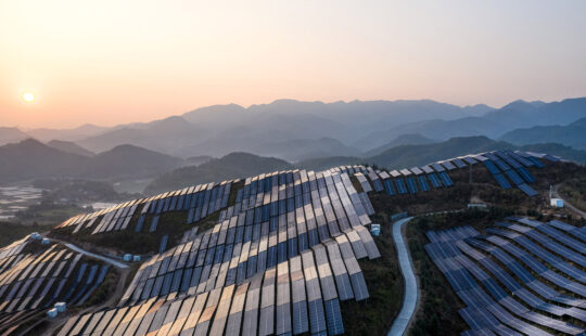 Insights from COP28: Harnessing the Power of Business for Climate Action